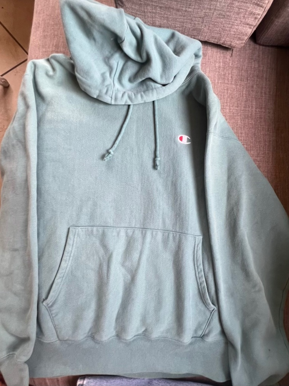 Mens Champion reverse weave hoodie